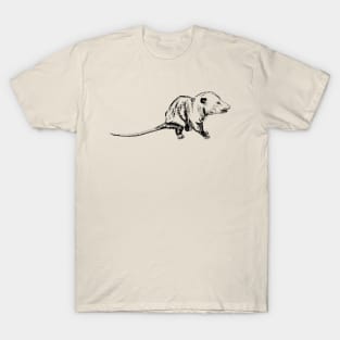 opossum T-Shirt